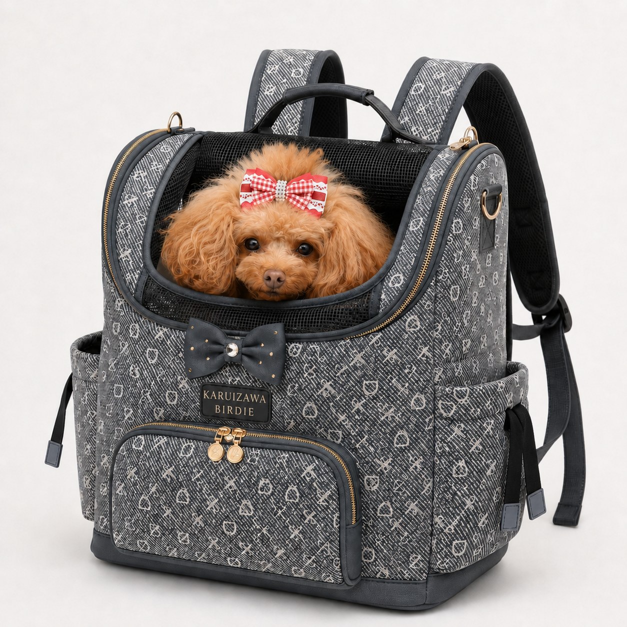 Voyager Brown Backpack